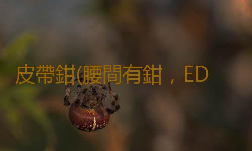 皮帶鉗(腰間有鉗，EDC必備——SOG索格多功能腰鉗體驗)